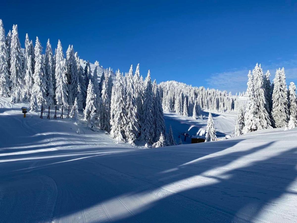 Olimpik House Jahorina Villa Ngoại thất bức ảnh