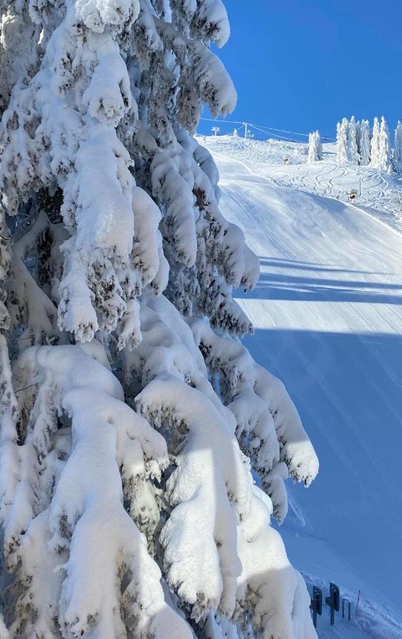 Olimpik House Jahorina Villa Ngoại thất bức ảnh